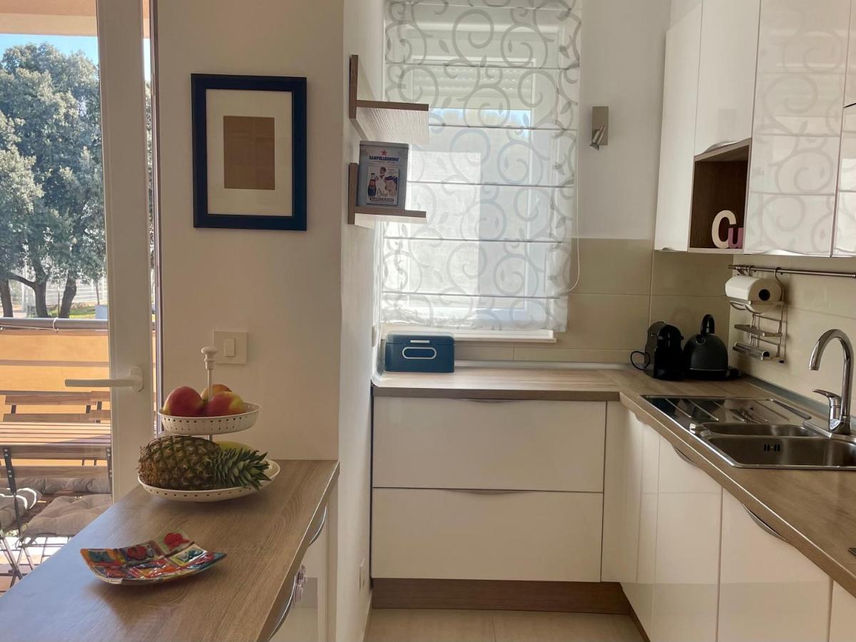 Sofia Apartment دوبروفينك المظهر الخارجي الصورة